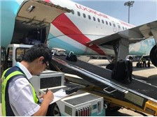 杭州蕭山億航貨運(yùn)代理部運(yùn)營(yíng)部 高效裝卸搬運(yùn)服務(wù)介紹