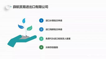 獨家分享 薛航物流綜合貨運代理一站式服務，高效裝卸搬運助力企業騰飛