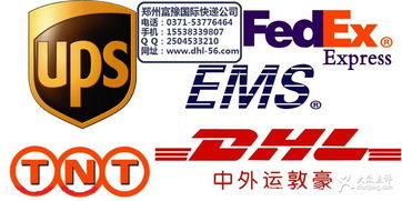 富豫國(guó)際快遞 鄭州生活服務(wù)的裝卸搬運(yùn)專家